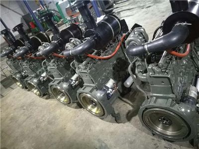 點擊查看詳細信息<br>標題：龍工30裝載機發(fā)動機 閱讀次數(shù)：1846